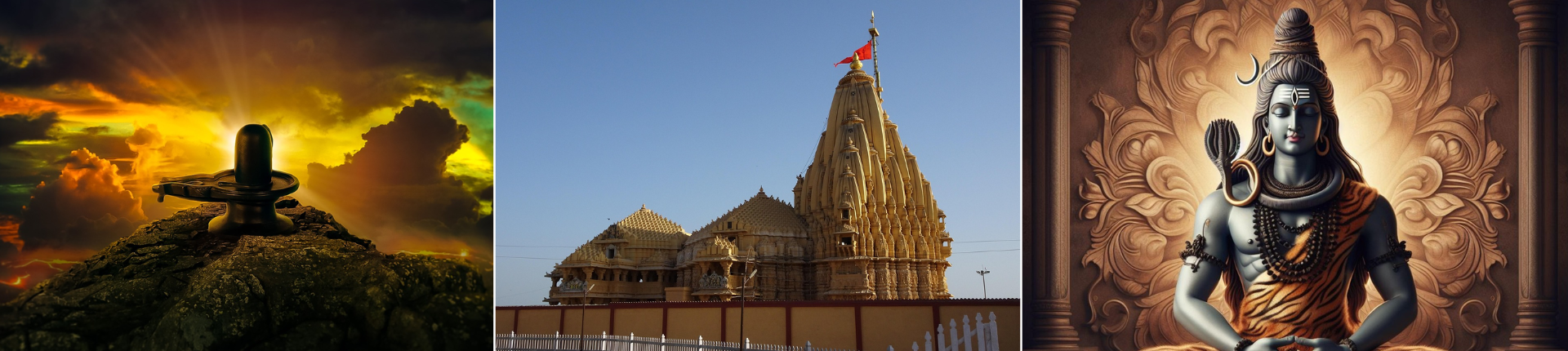 17-Daagse Spirituele Reis India - De Heilige Jyotirlinga's